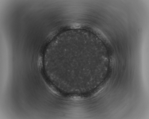 X0000111420598200908031306