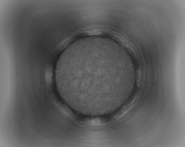 X0000111420600200908031306