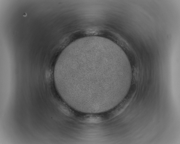 X0000111420601200908031306
