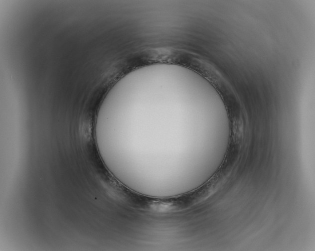 X0000111420602200908031306