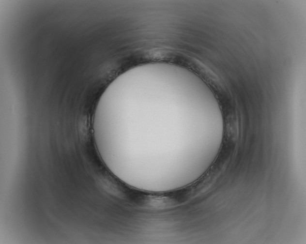 X0000111420605200908031306