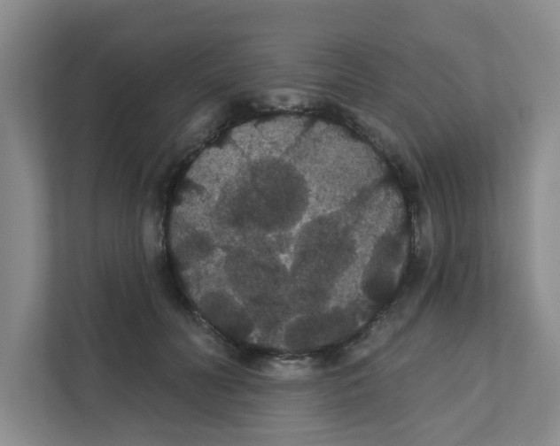 X0000111420606200908031306