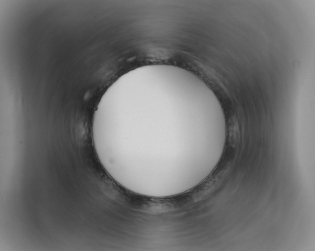 X0000111420608200908031306