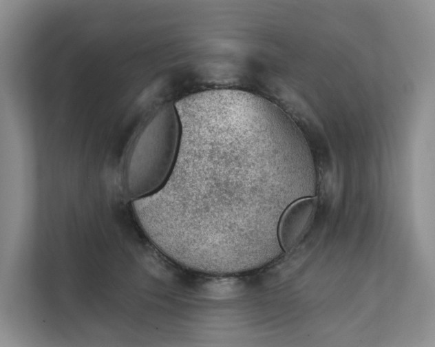 X0000111420609200908031306