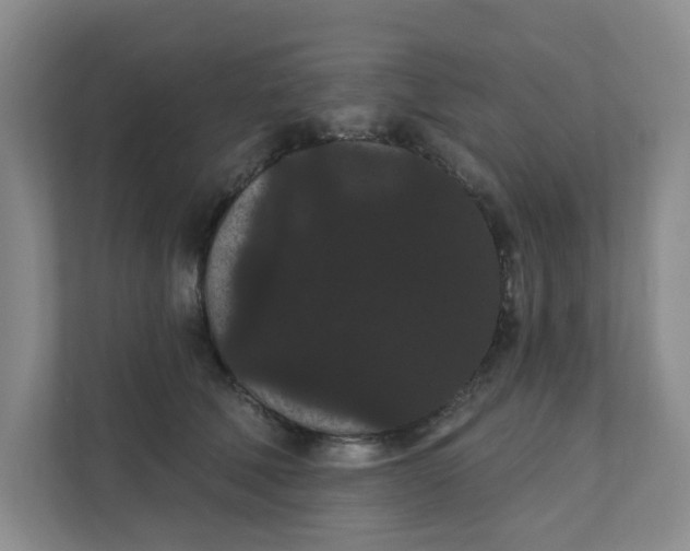 X0000111420610200908031306