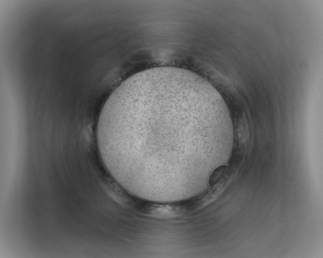 X0000111420611200908031306