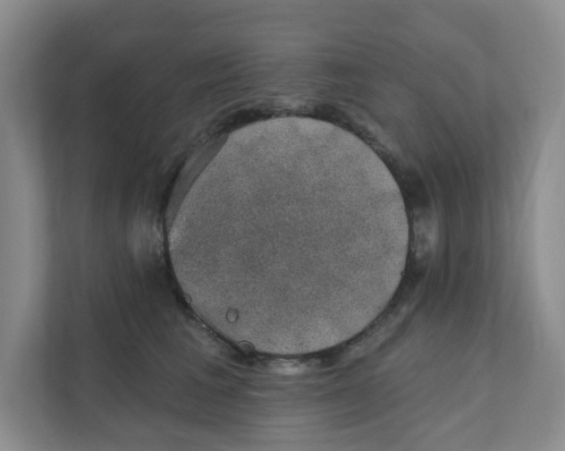 X0000111420613200908031306