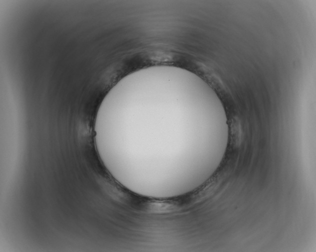 X0000111420614200908031306