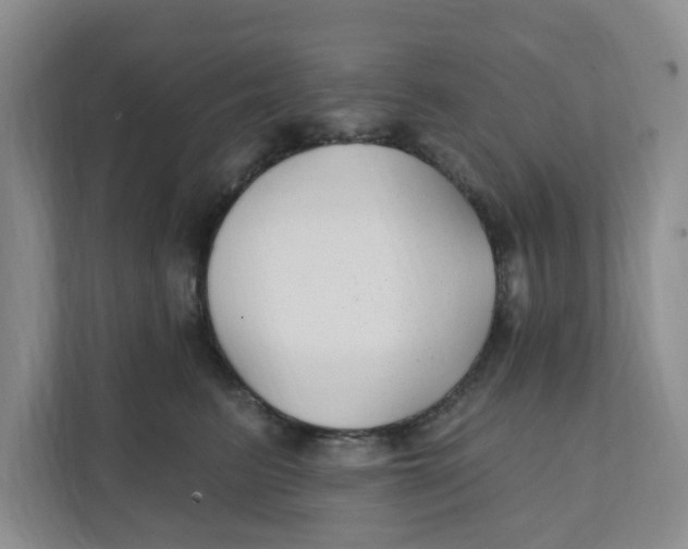 X0000111420615200908031306