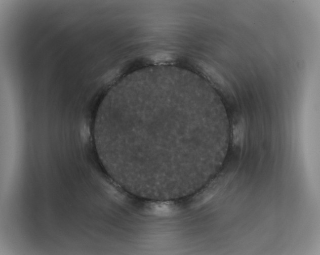X0000111420618200908031306