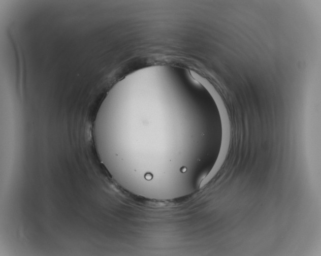 X0000111420621200908031306