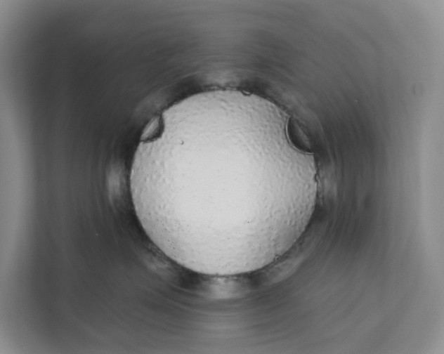 X0000111420623200908031306