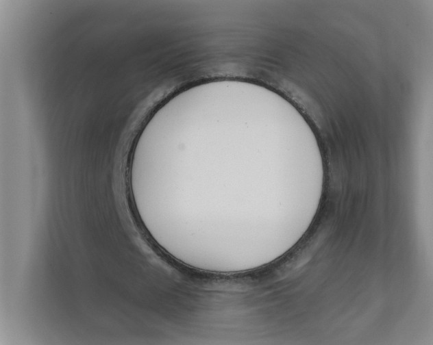 X0000111420625200908031305