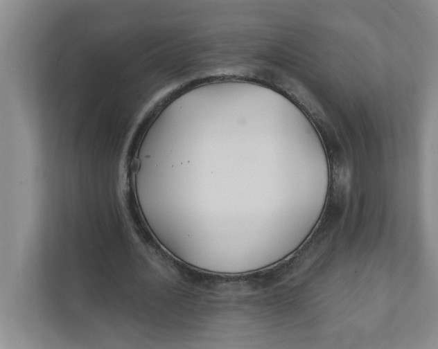 X0000111420628200908031305