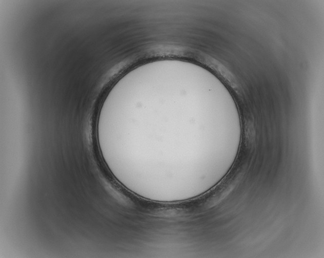 X0000111420629200908031305