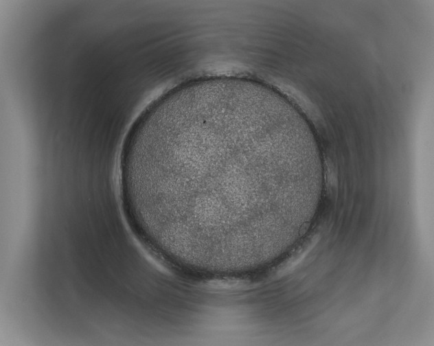 X0000111420630200908031305