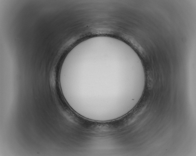 X0000111420631200908031305