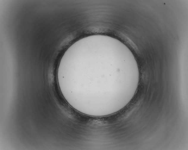 X0000111420635200908031305