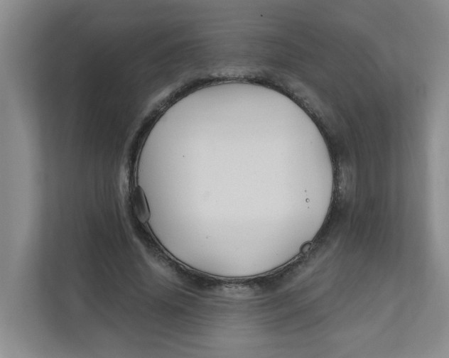 X0000111420636200908031305