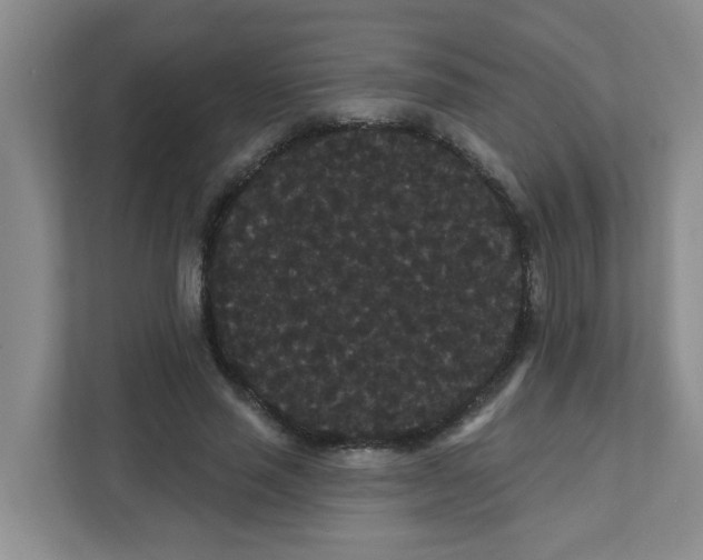 X0000111420637200908031305