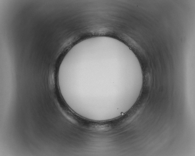 X0000111420638200908031305