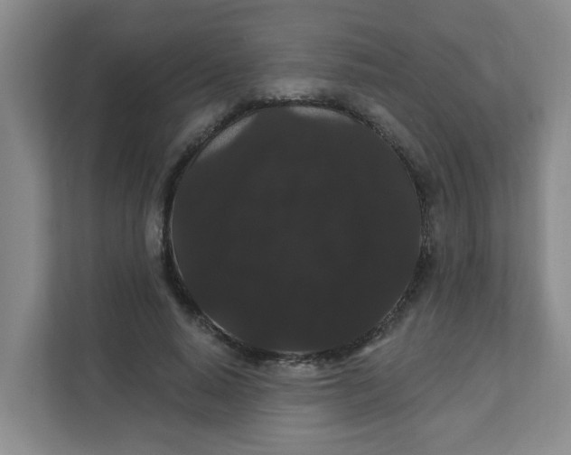 X0000111420640200908031306