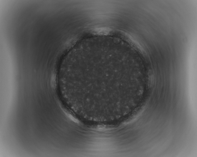 X0000111420641200908031306