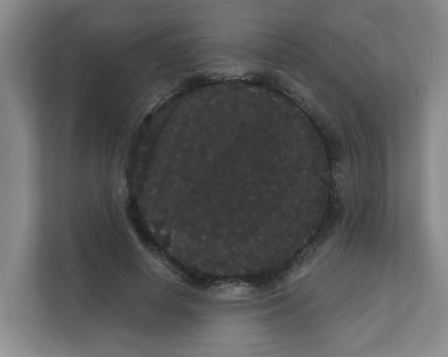 X0000111420642200908031306