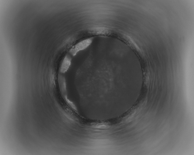 X0000111420643200908031306