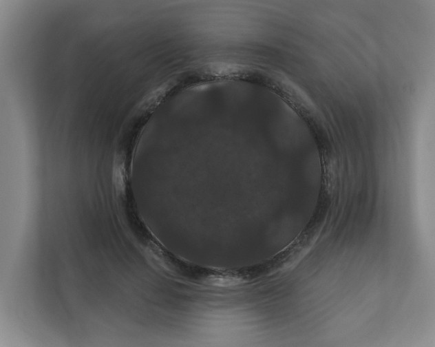 X0000111420644200908031306