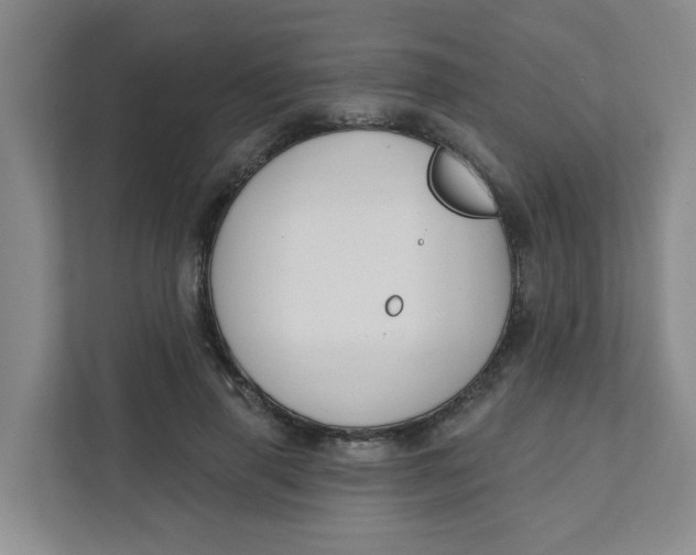 X0000111420645200908031306