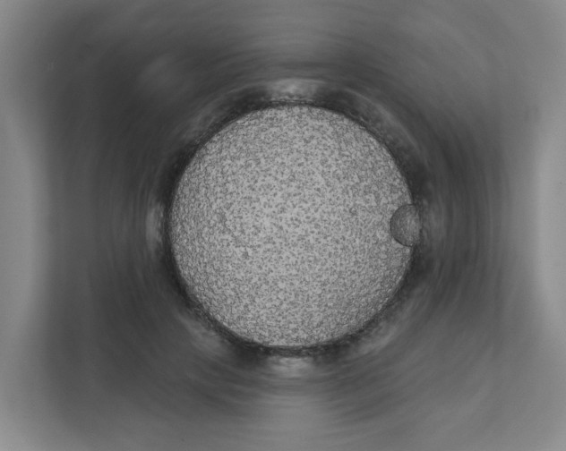 X0000111420649200908031306