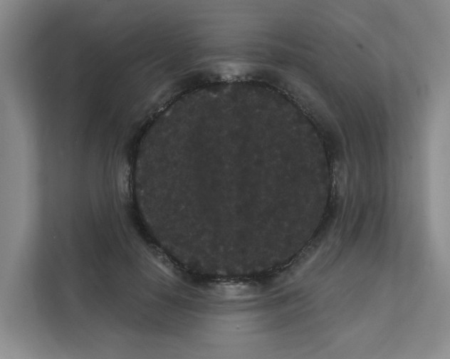X0000111420650200908031306