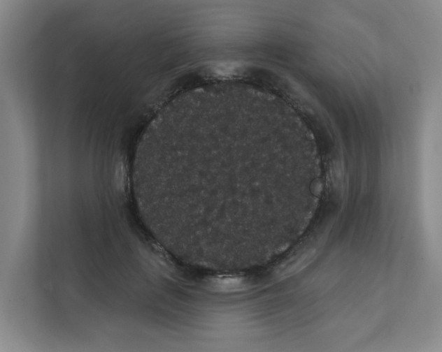 X0000111420651200908031306