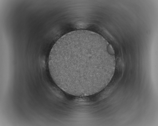X0000111420655200908031306