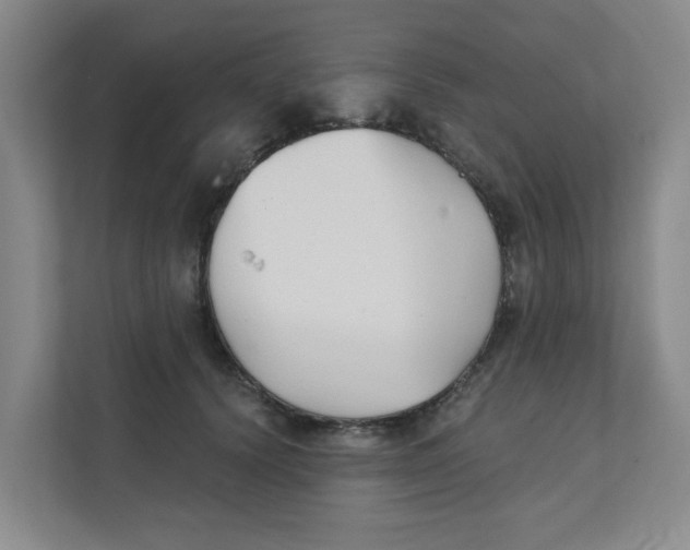 X0000111420656200908031306