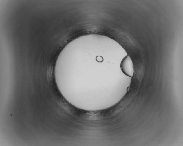 X0000111420660200908031306