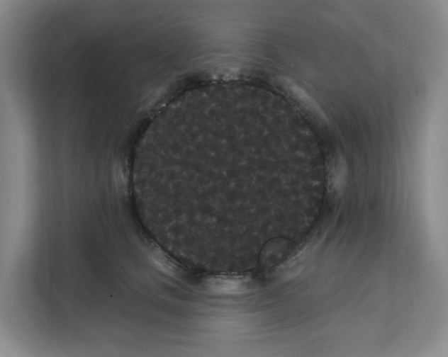 X0000111420661200908031306