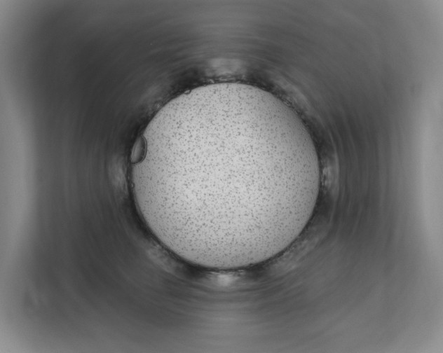 X0000111420662200908031306