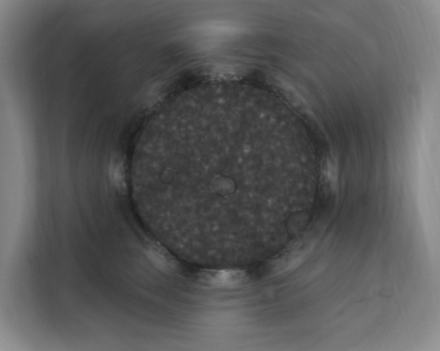X0000111420663200908031306