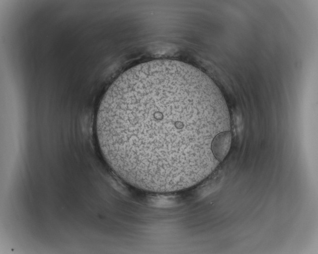 X0000111420664200908031306