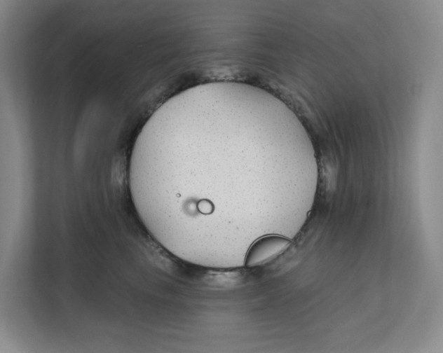 X0000111420665200908031306