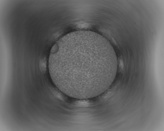 X0000111420668200908031306