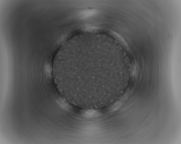 X0000111420669200908031306