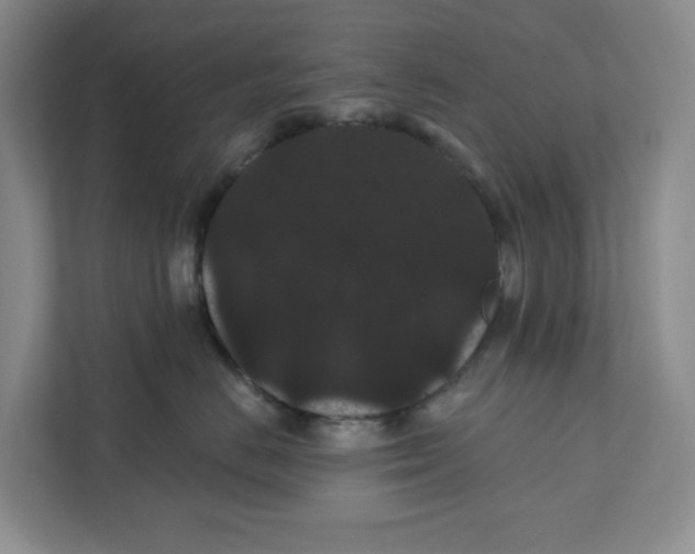 X0000111420670200908031306