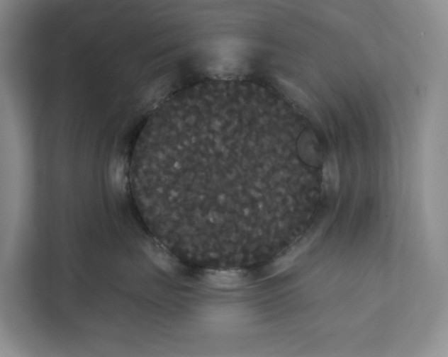 X0000111420671200908031306