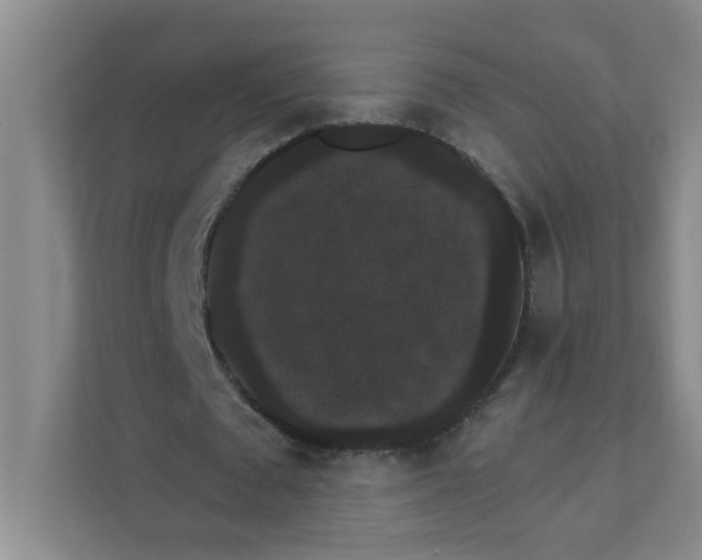 X0000111420673200908031305