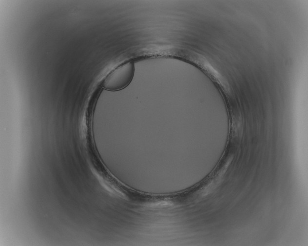 X0000111420674200908031305