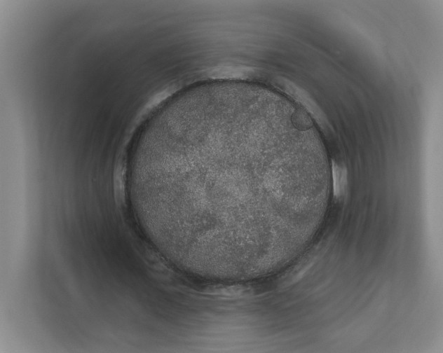 X0000111420675200908031305