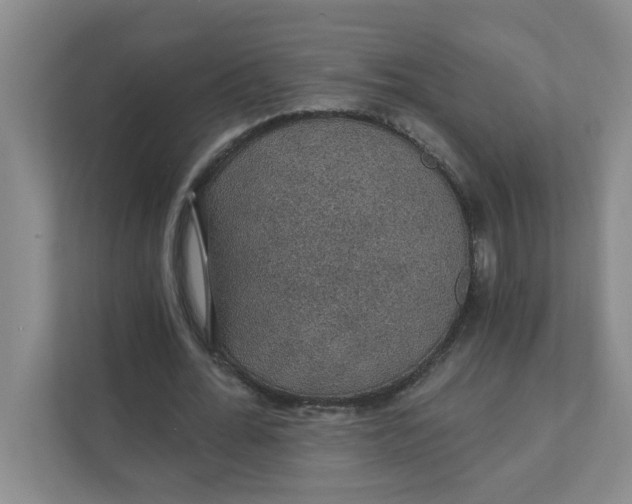 X0000111420676200908031305